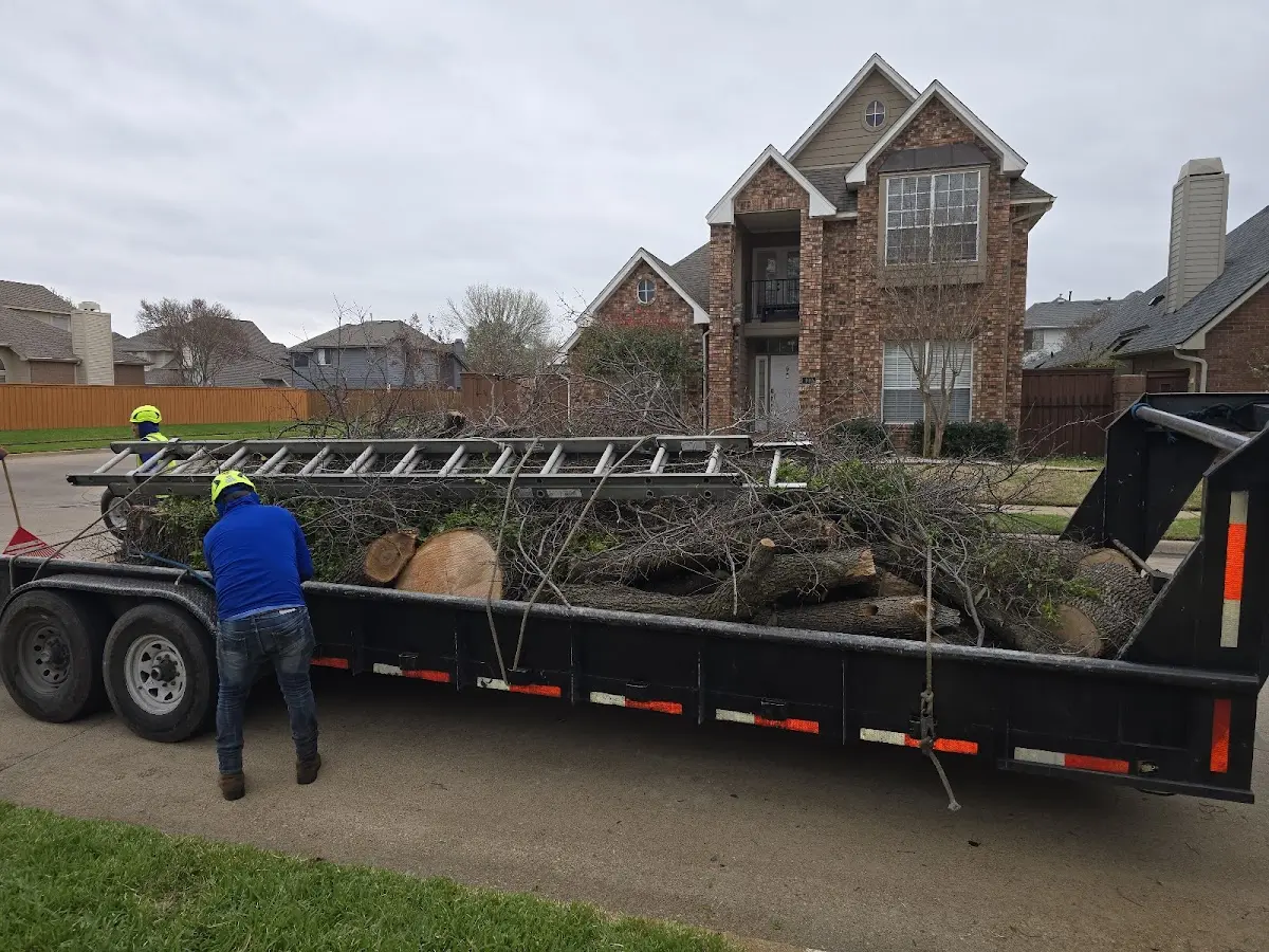 Expert Tree Removal with proper safety equipment in Fairmont